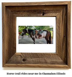 horse trail rides near me in Channahon, Illinois